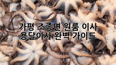 가평 조종면 원룸 이사, 용달이사 완벽 가이드!